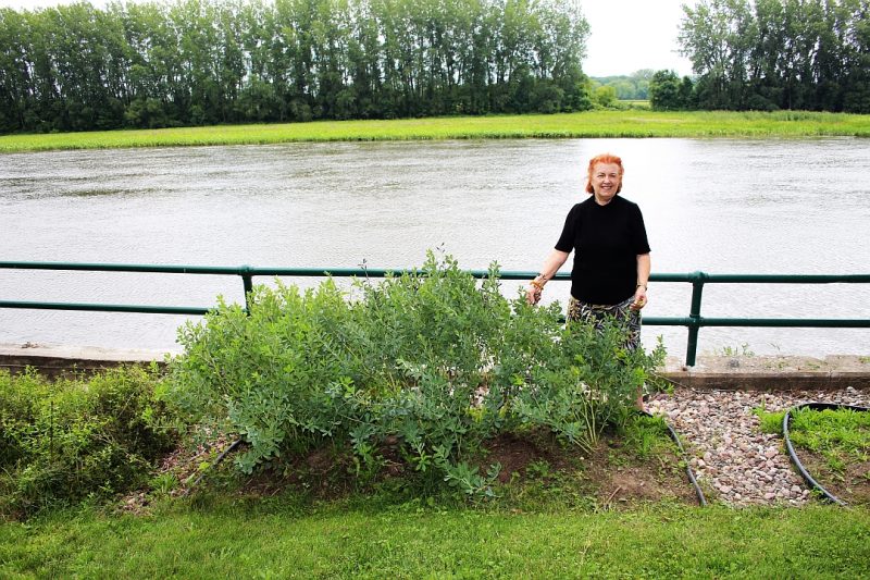 MARIE-BERTHE LANOIX & son jardin teintures à Berthierville