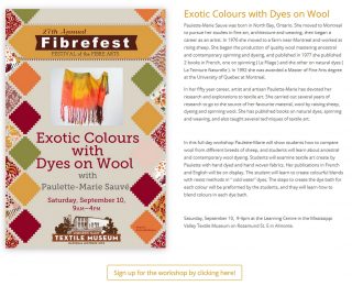 Paulette-Marie-Sauve_EXOTIC-COLOURS_cold-water-dyes_-painted-warp