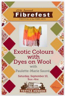 Paulette-Marie-Sauve_EXOTIC-COLOURS_cold-water-dyes_-painted-warp
